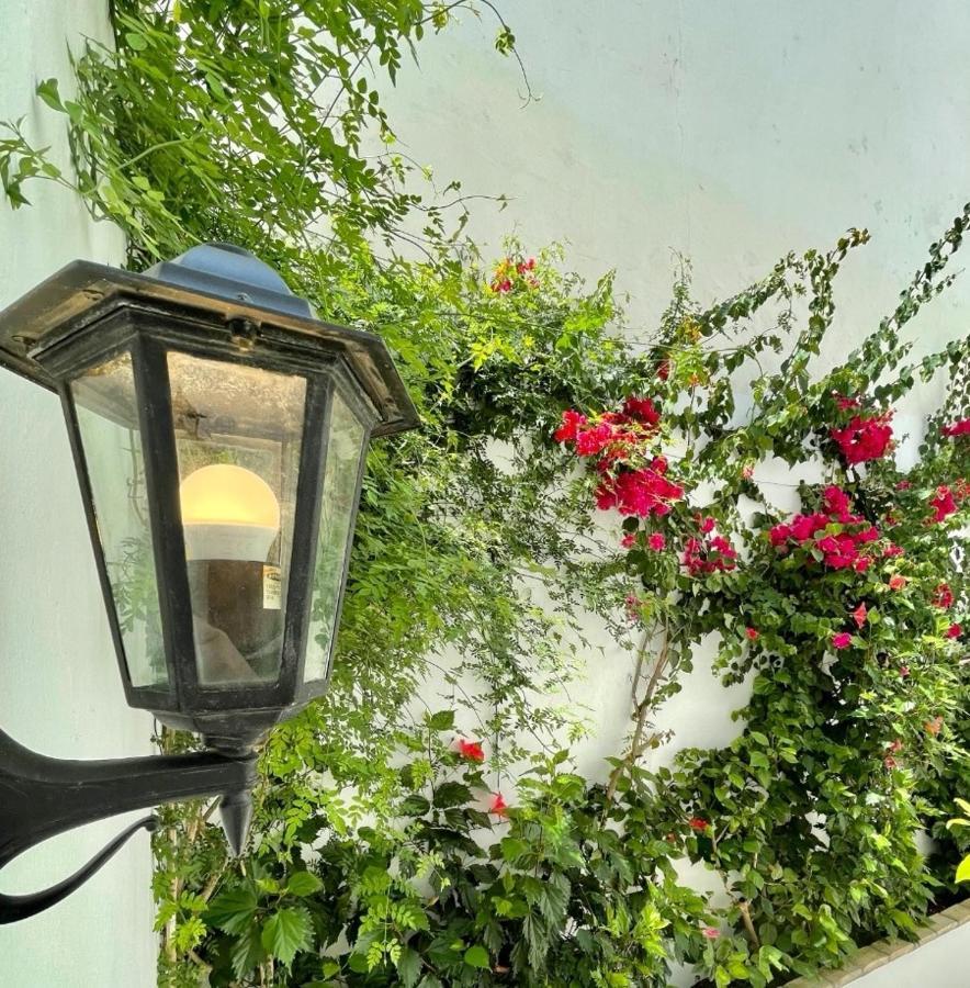 Gatu Premium Apartamento Palacio Oneto Con Jardin Privado " Preferente Mayores De 25 Anos Y Familias " El Puerto de Santa Maria Exterior foto